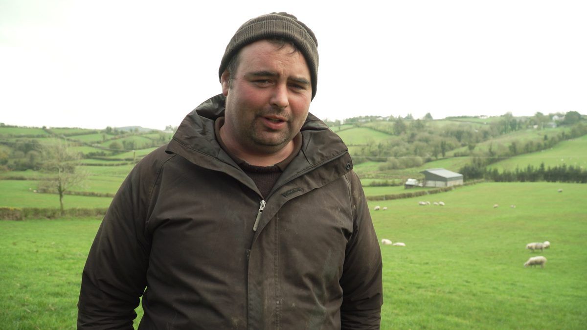 Video: Lambing ewes early to make time for machinery work