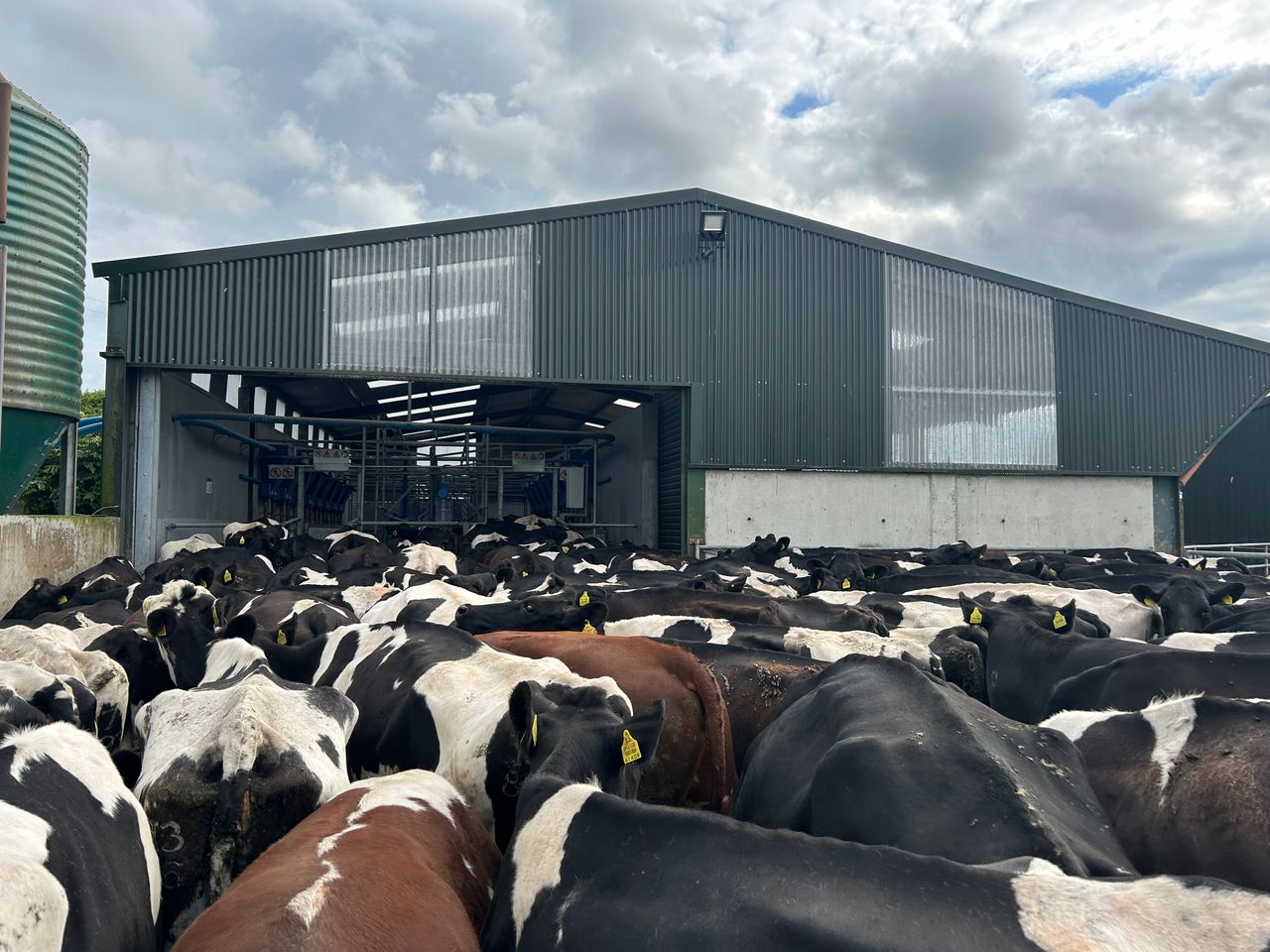 Lameness: Roadways and infrastructure around breeding