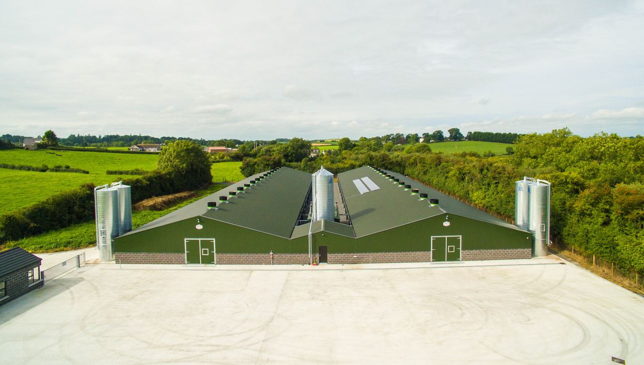 Ideal Home project awarded Innovate UK grant for ground-breaking poultry house design