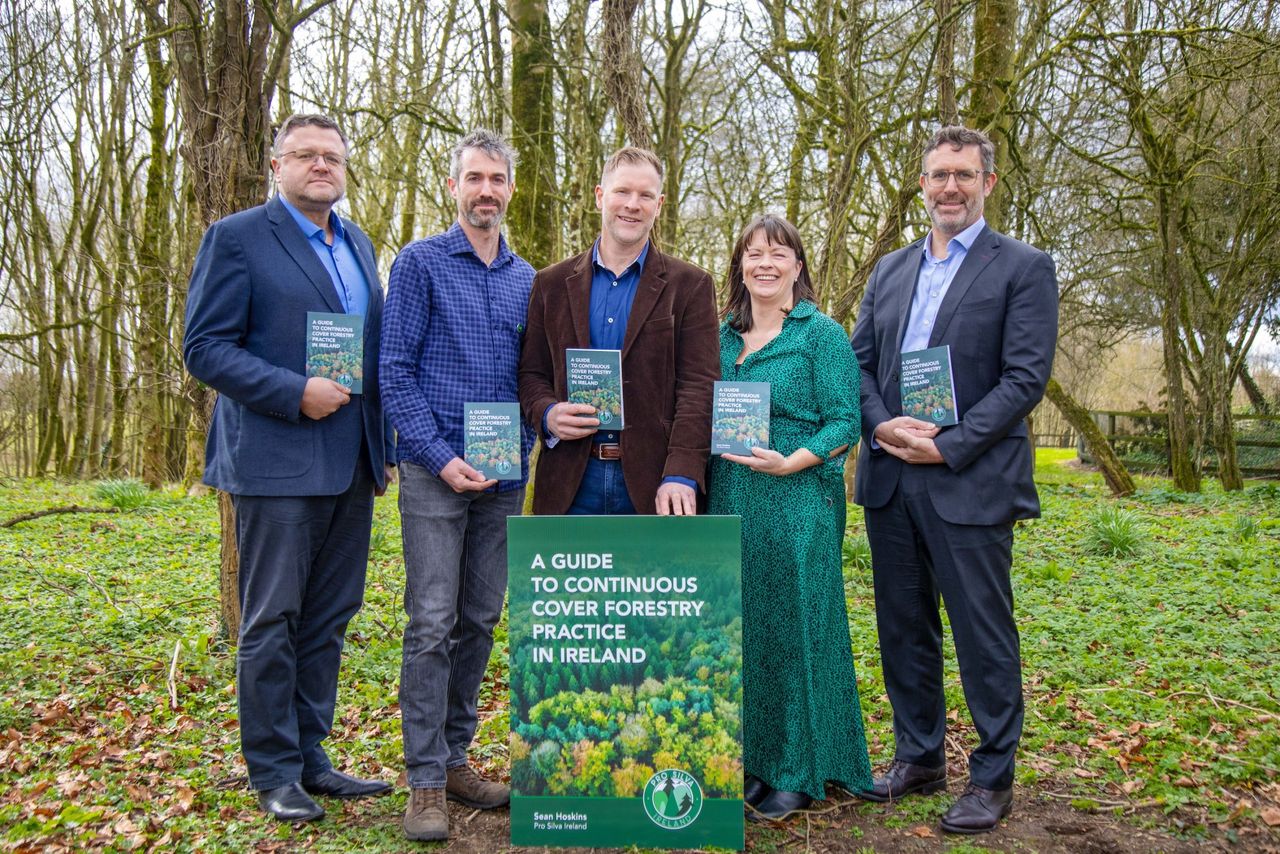 Essential guide to continuous cover forestry launched