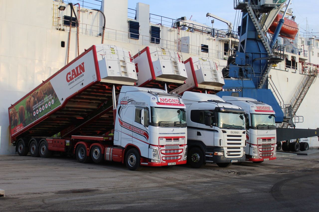 Live cattle shipment to Algeria cancelled - again