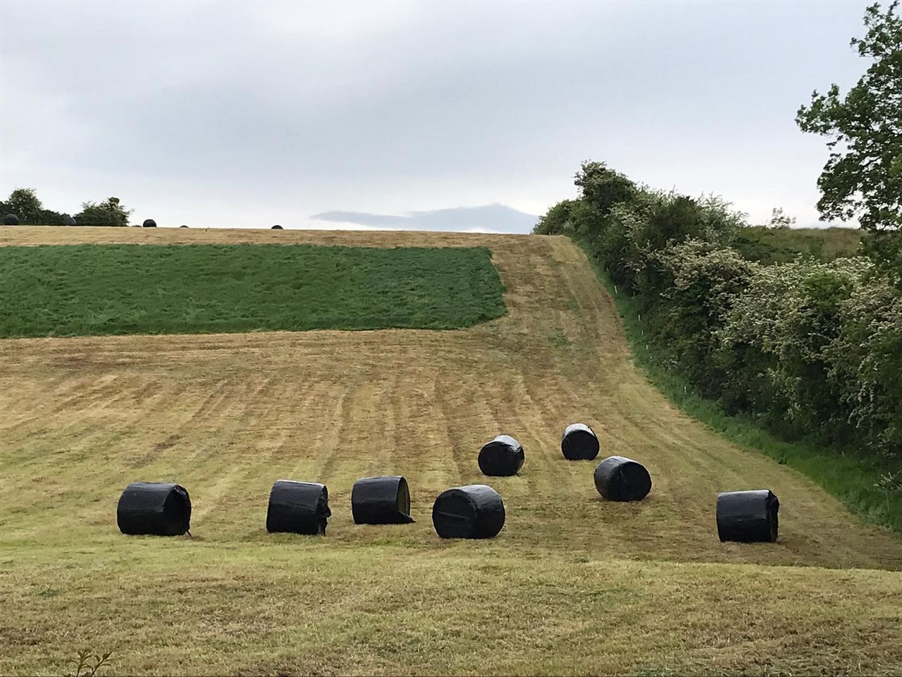 Biomethane strategy to be published within 'weeks' - minister