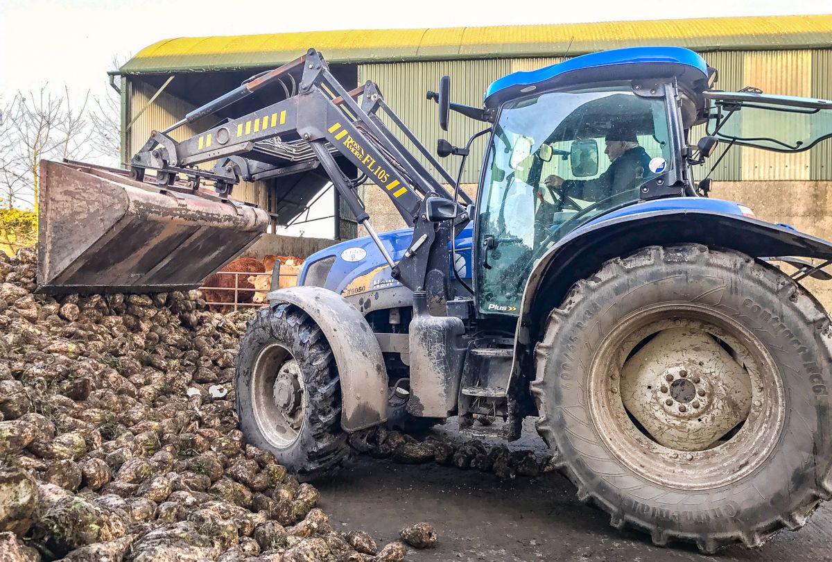 Beet industry set for revival