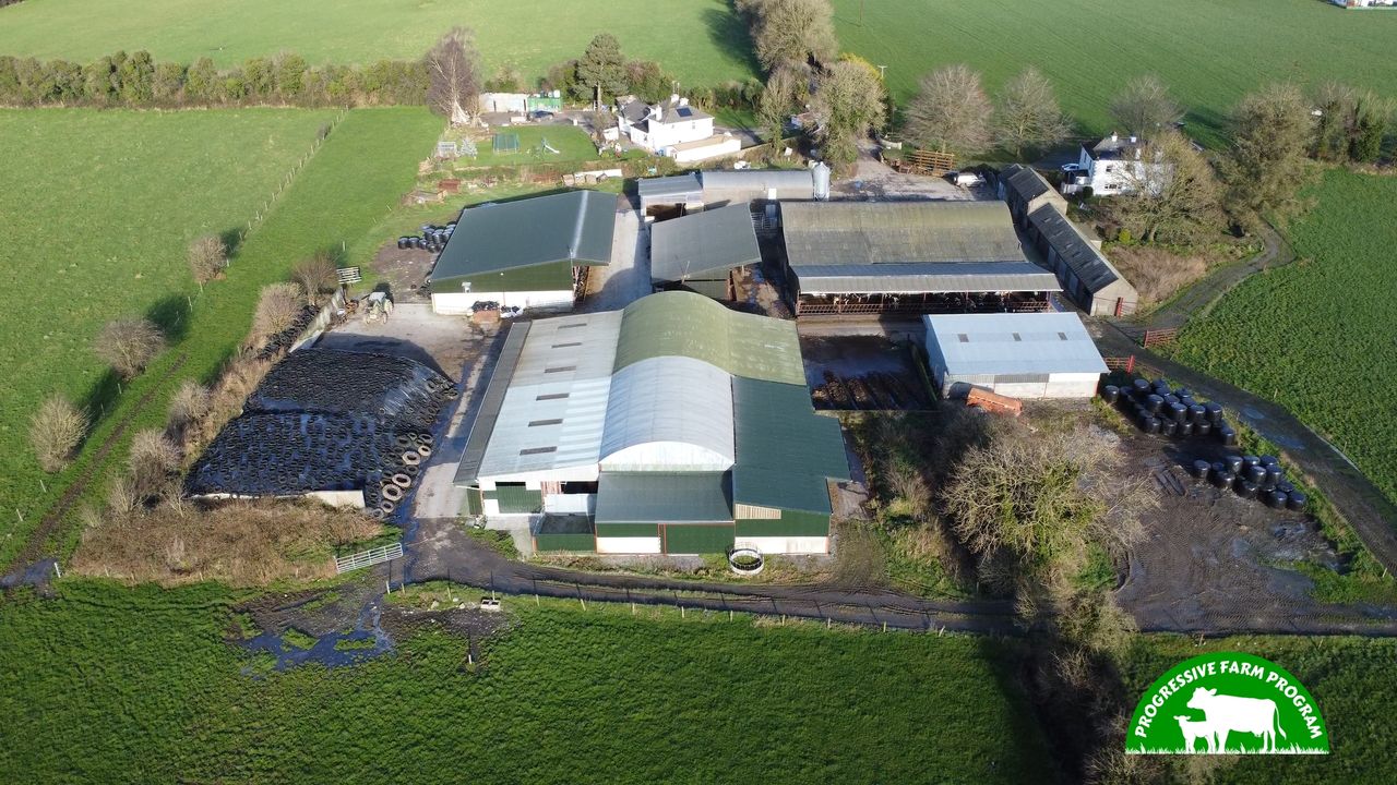 Progressive Farm Program: Combining pedigree breeding and EBI in Meath
