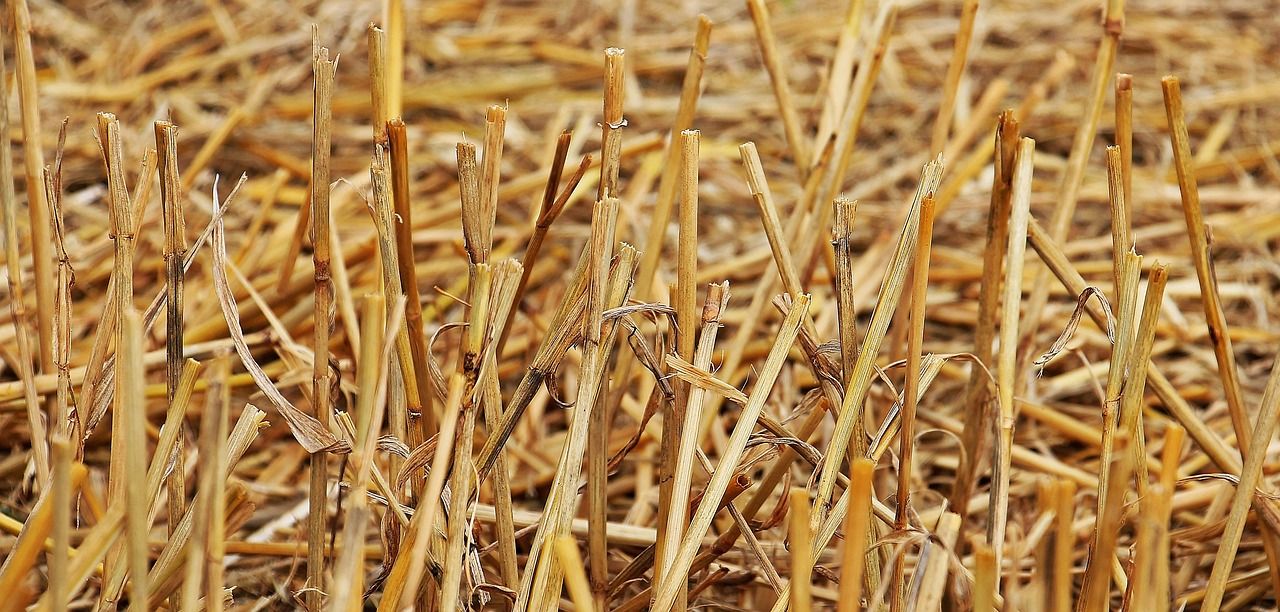 Ministers agree shallow cultivation extension