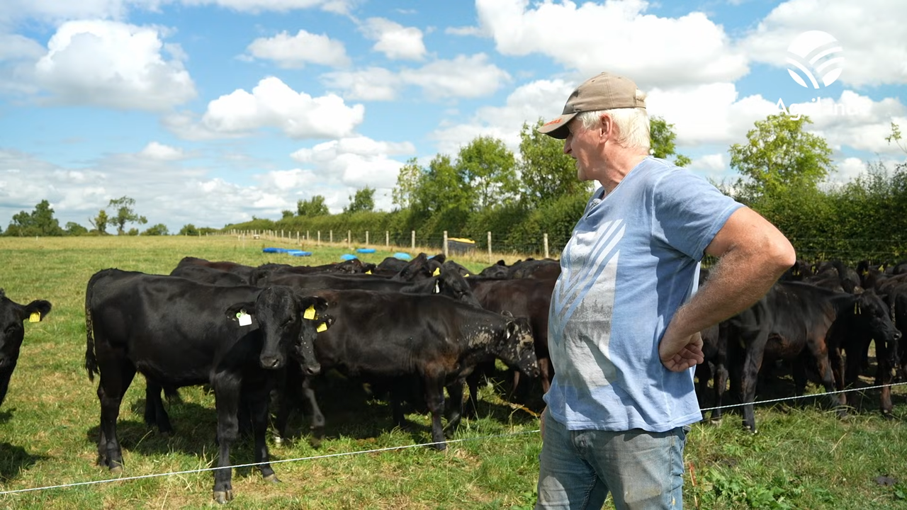 Meath beef farm houses cattle early due to dry spell grass deficit