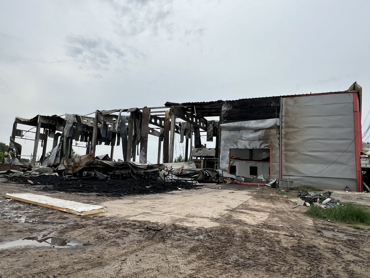 Video: Ukrainian Agri Council - cattle killed and farms destroyed