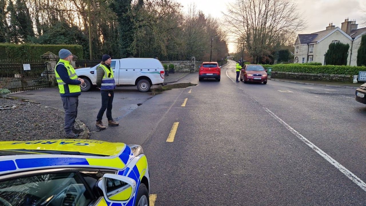 Gardaí and NPWS target illegal hunting in Kildare
