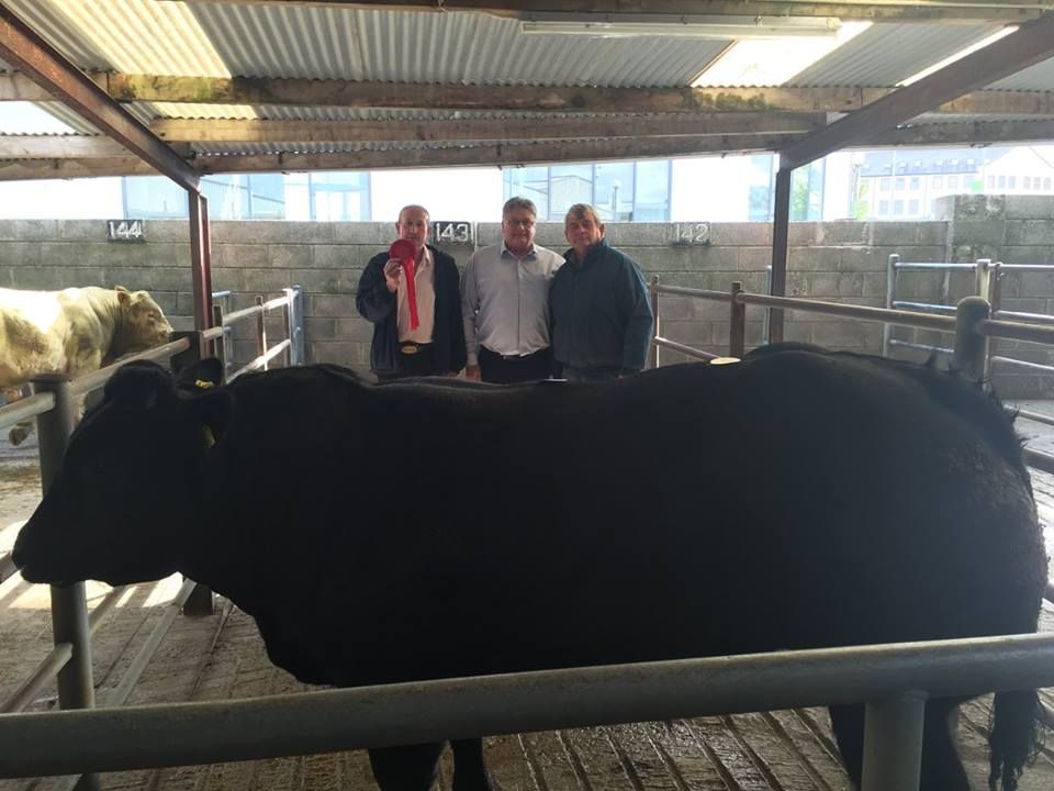 1st Best Weanling Bull- 610kgs €1500. Tommy Joe Maloney, Kiltevna, Dunmore, Co.Galway