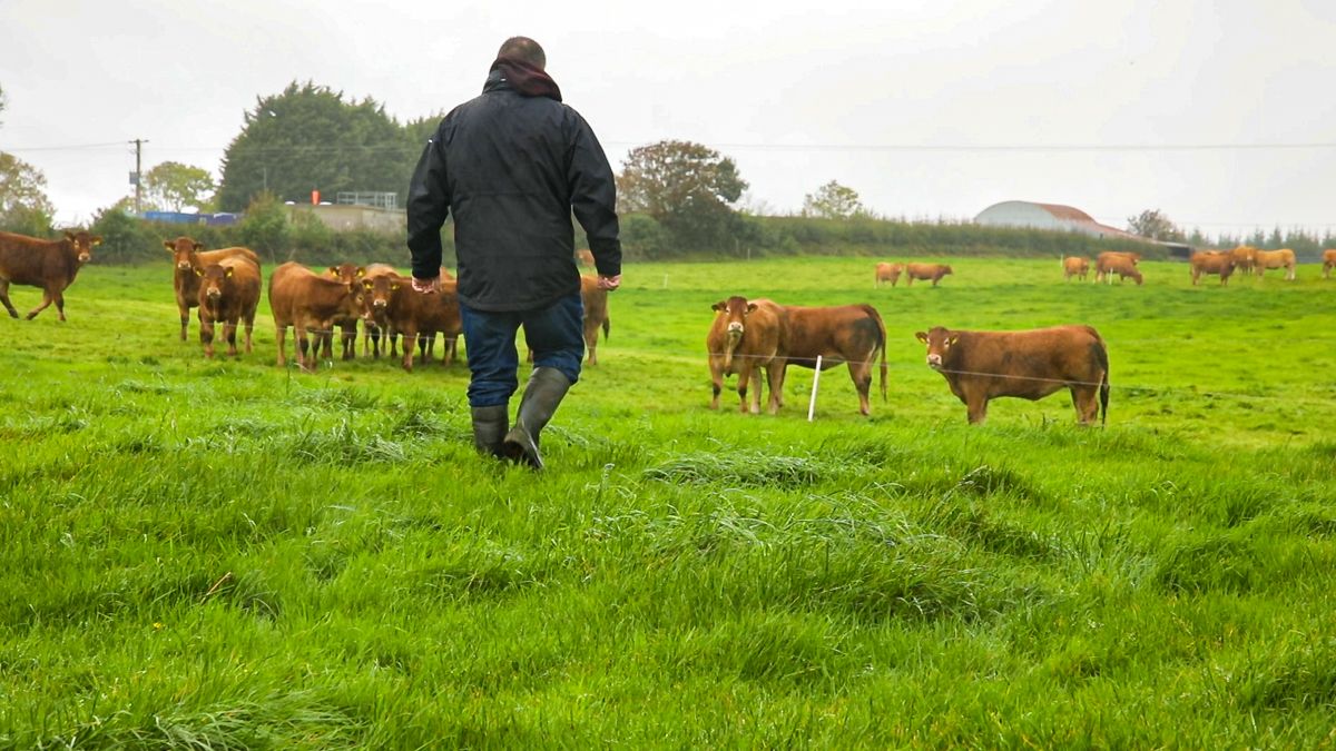 ICMSA optimistic that TB meeting will result in 'focus on farmers'