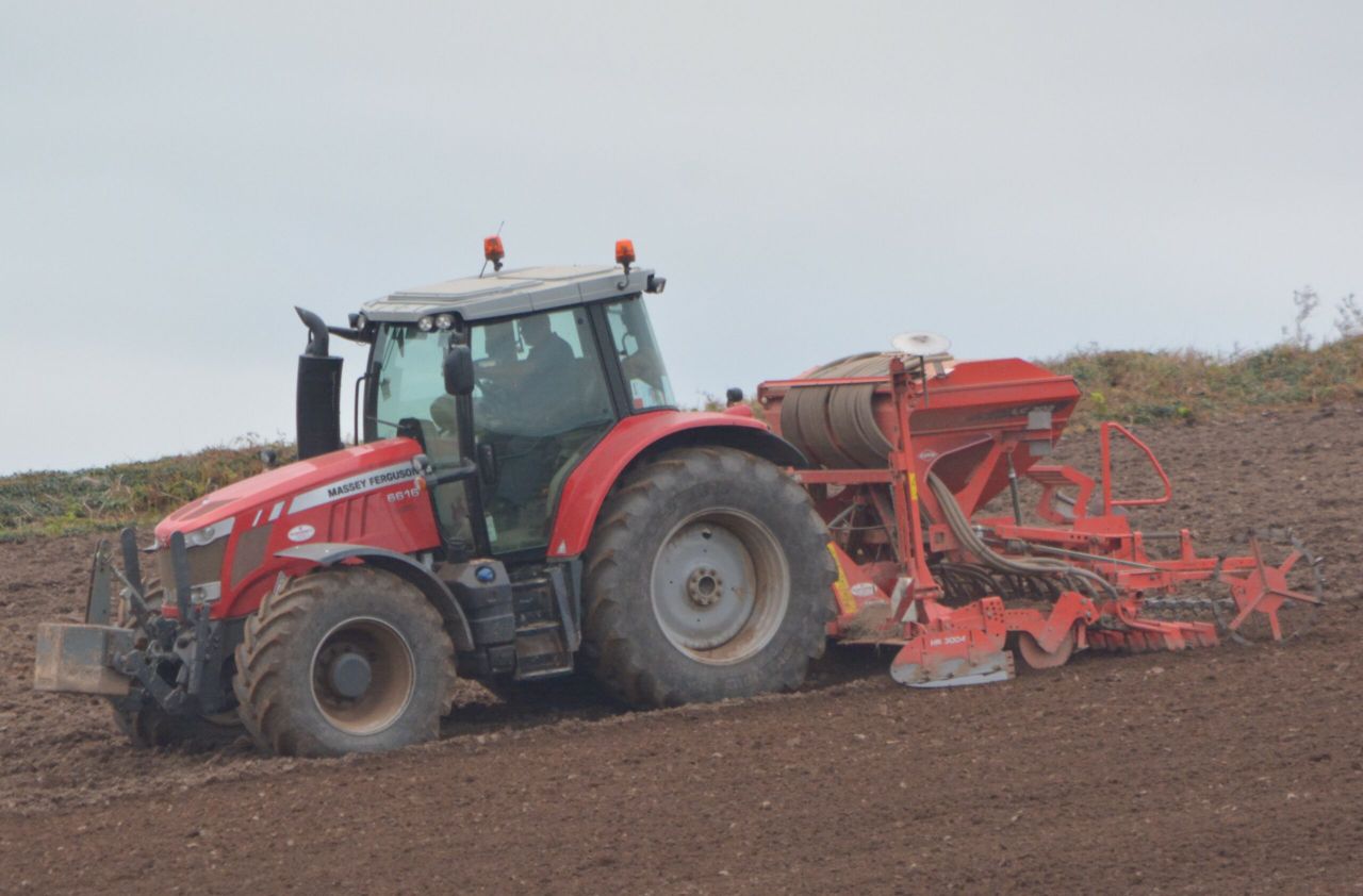 Tillage: Should growers continue with seed already purchased?