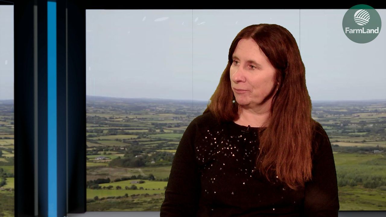 'Irish organic farmers have a real opportunity on their doorstep'