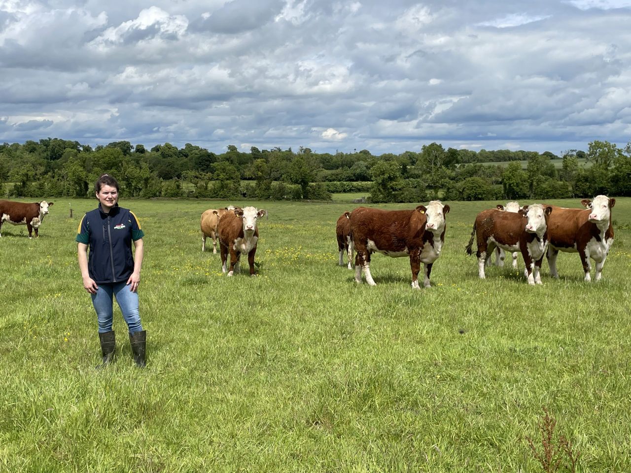 Listen: A reverence for cattle breeding in the 'Royal County'