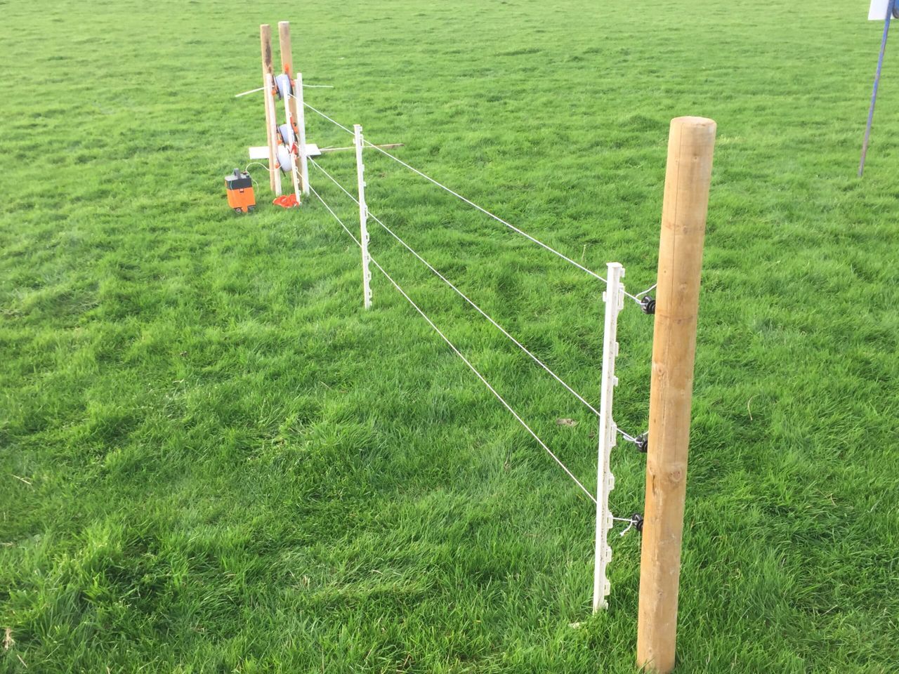 Pics: Cost-effective temporary sheep fencing options on show
