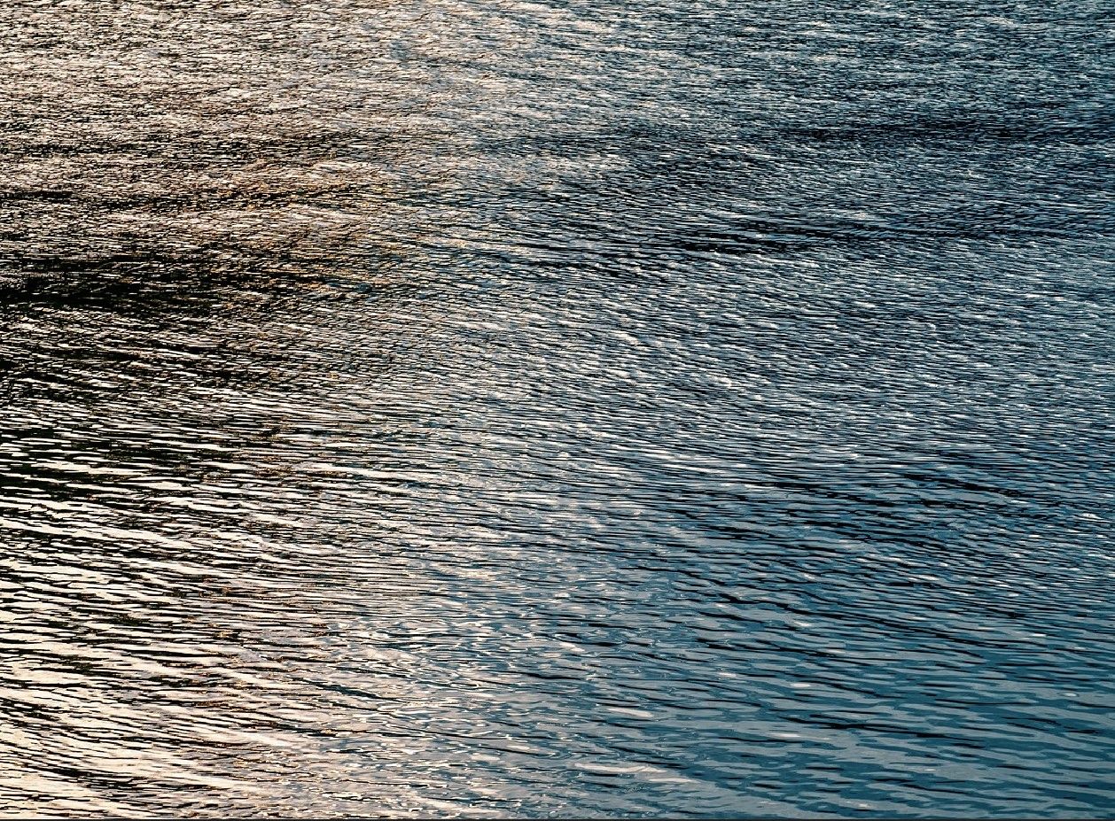 NI: No coastal water bodies or lakes achieved high ecological status in 2024