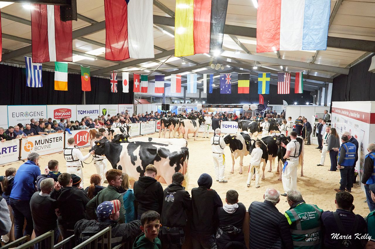 Judge announced for AXA National Dairy Show 2024