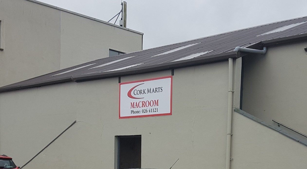 'Growing customer base for Scotch lambs' at Macroom