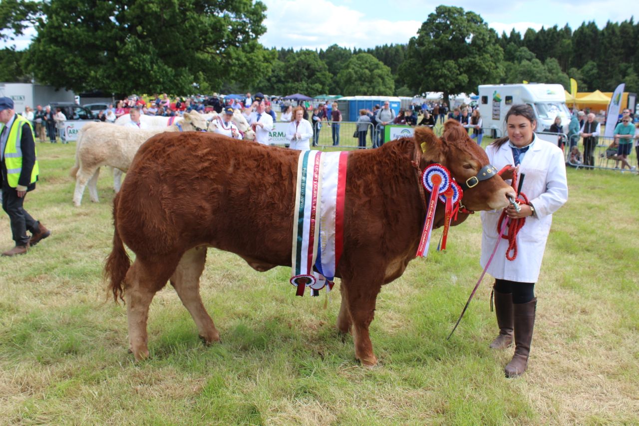 Results: Beef, dairy and sheep champions at Armagh Show