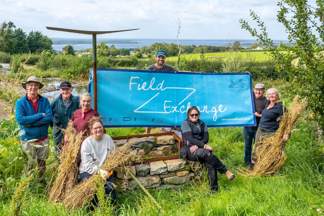 Field Exchange festival returns to Tipperary's Brookfield Farm