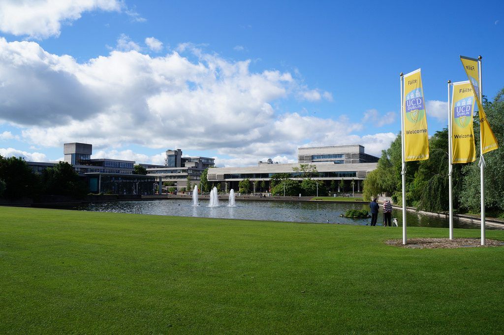 Applications open for Bord Bia food and drink scholarships