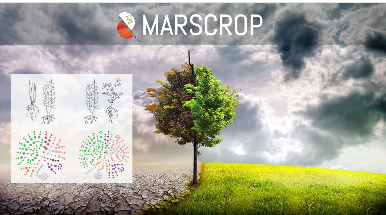 Food security - could soil from Mars become fit for farming?