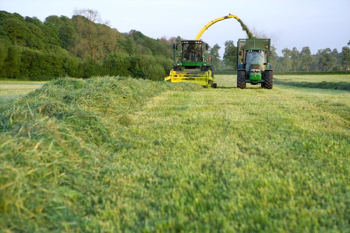 Dairygold farm safety walks kick-off today as risk of accidents heightens