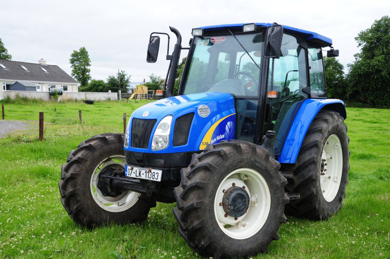 100% clearance at Oola sale for Munster Auctions
