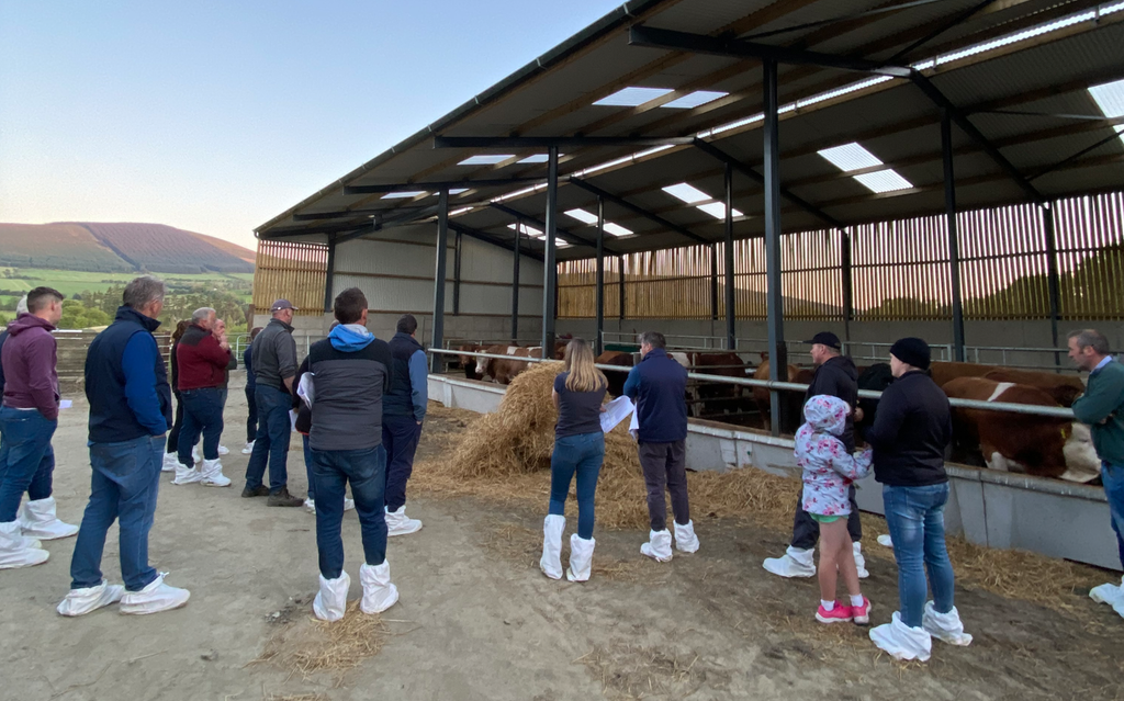 Participants on the farm walk on John Pringle's farm in Aughrim, Co. Wicklow