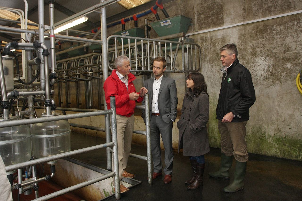 Polish and Portuguese dairy buyers visit Ireland