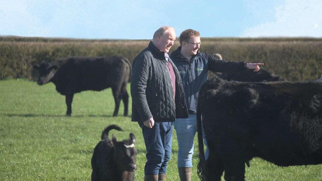 Offaly event on beef profitability and performance next week