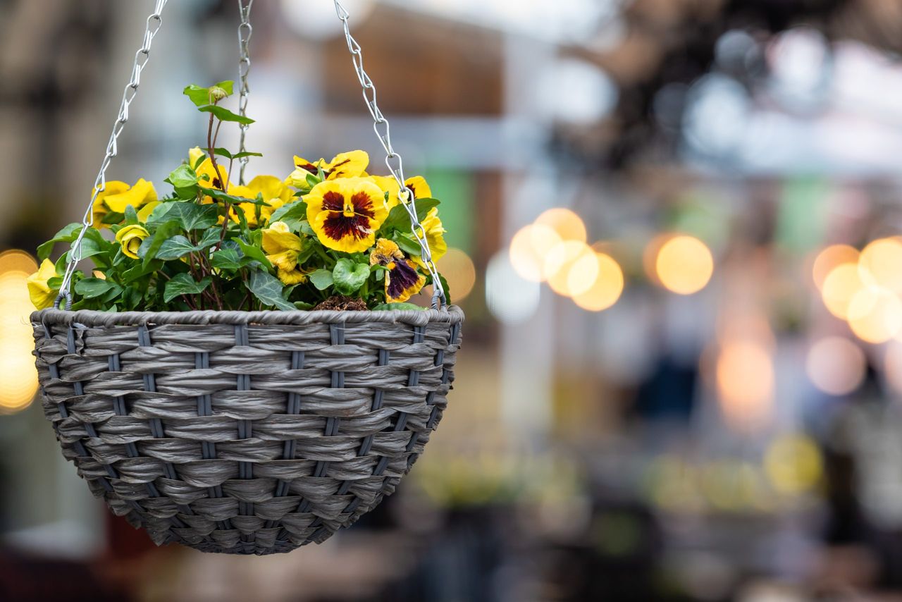 Ireland's Tidiest Town for 2025 revealed