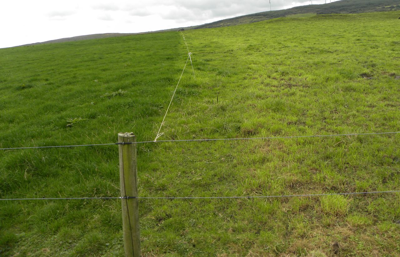 December deadline for final sale of creosote products