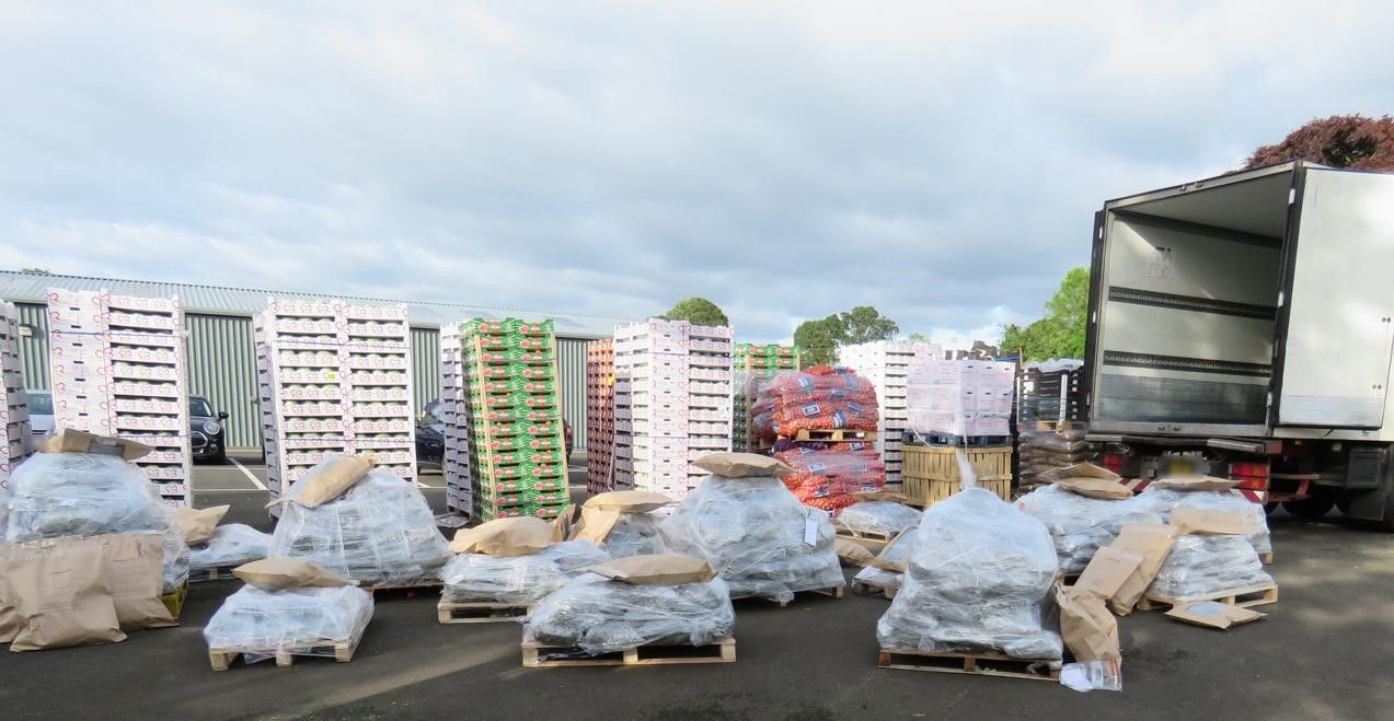 NI's biggest drug seizure found hidden behind veg in refrigerated lorry