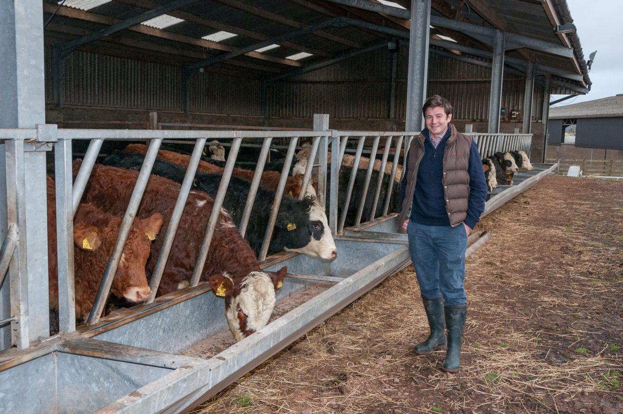 How more than 100 Scottish farmers pooled together for fairer prices