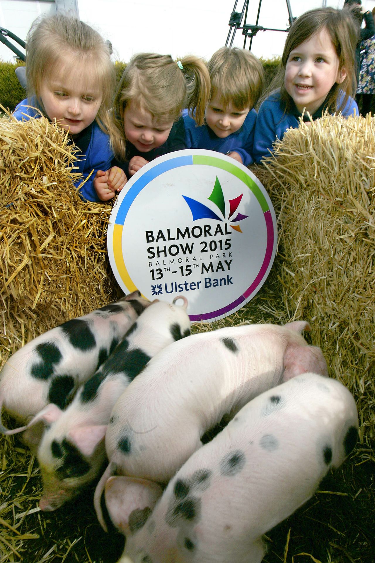 Four-day Balmoral Show on the cards from 2017
