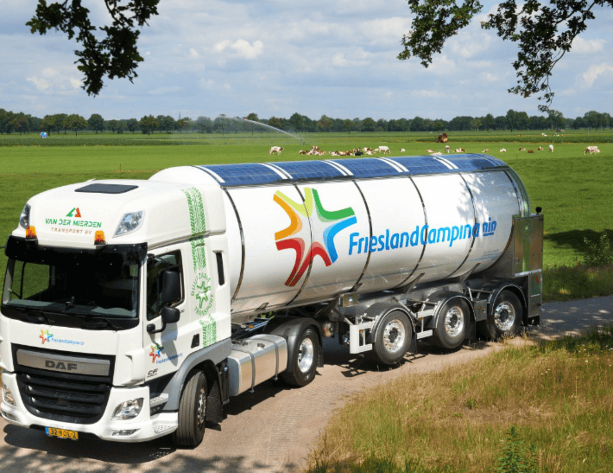 FrieslandCampina reports 20% increase in first half operating profit
