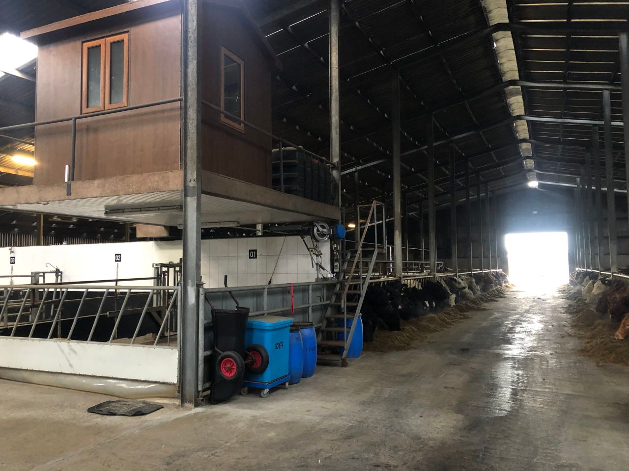 Beef Focus: Supplying the growing market for 'high-end' sucklers