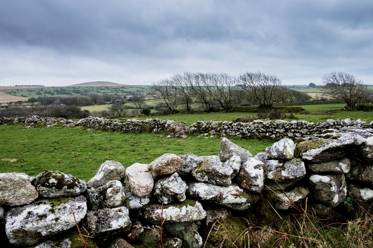 CSO: Highest volume of agricultural land sold in west in 2023