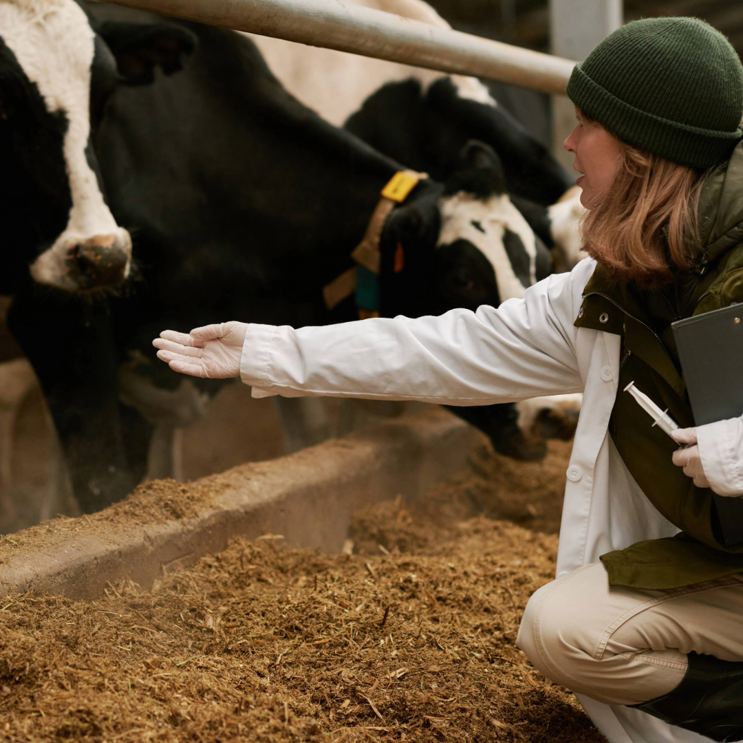 New EU I.T platform to help 'fight' antimicrobial resistance