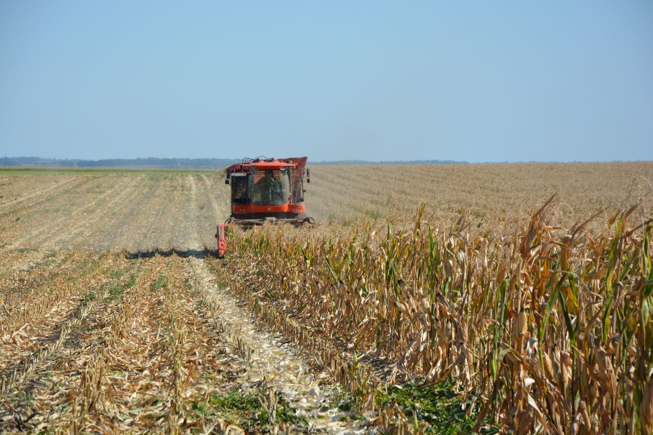 EU agri groups call for 'carefully balanced' approach to Ukraine