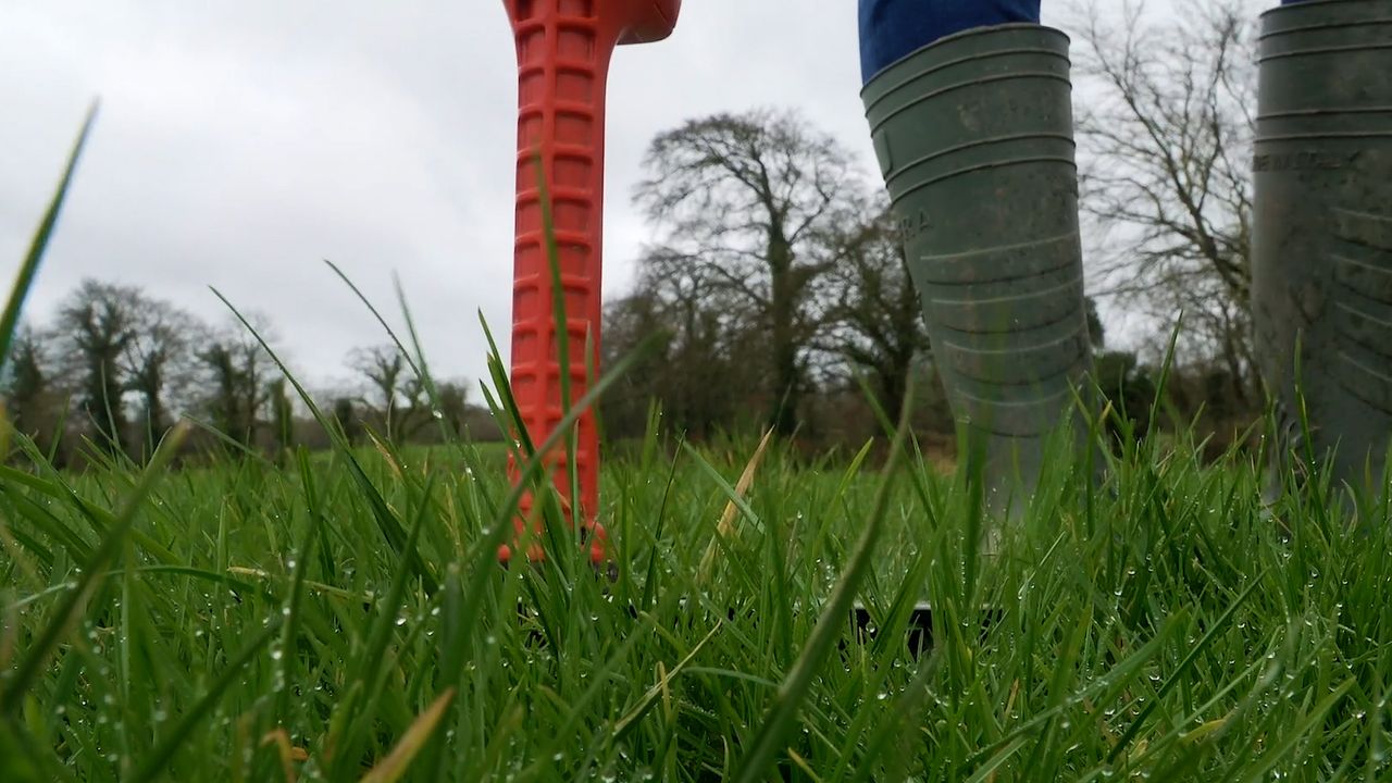 Grass growth: Closing up the farm this autumn