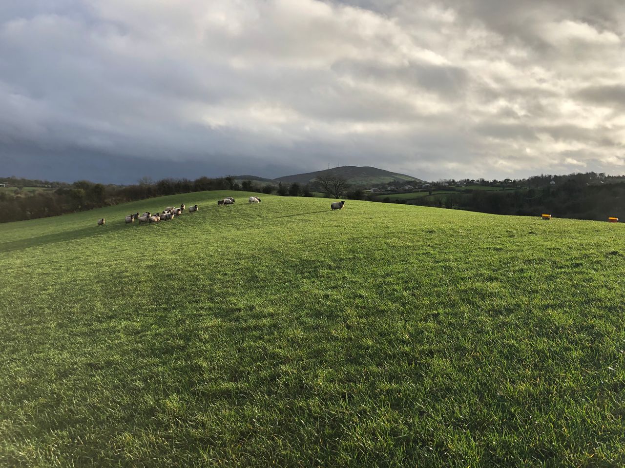 Weather conditions to remain cold and unsettled this week