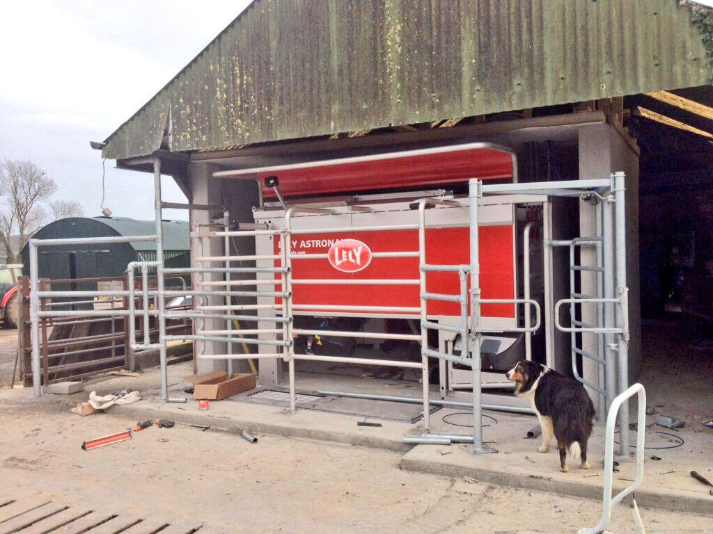 Is robotic milking the future for Irish dairy farming?