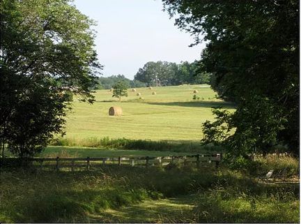 13ac farm worth $450,000 up for grabs in an essay competition in the US