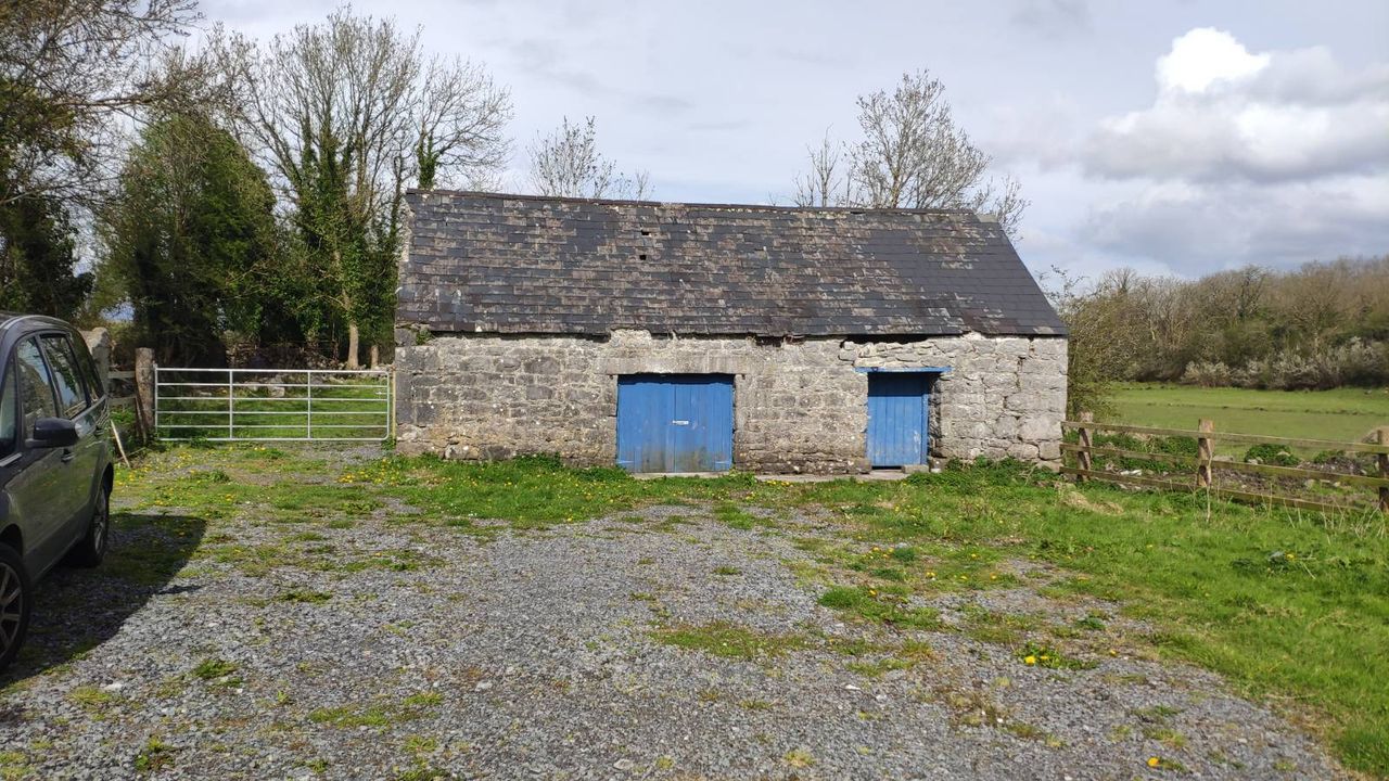Gort sheep farmer's building repair provides roosting area for bats