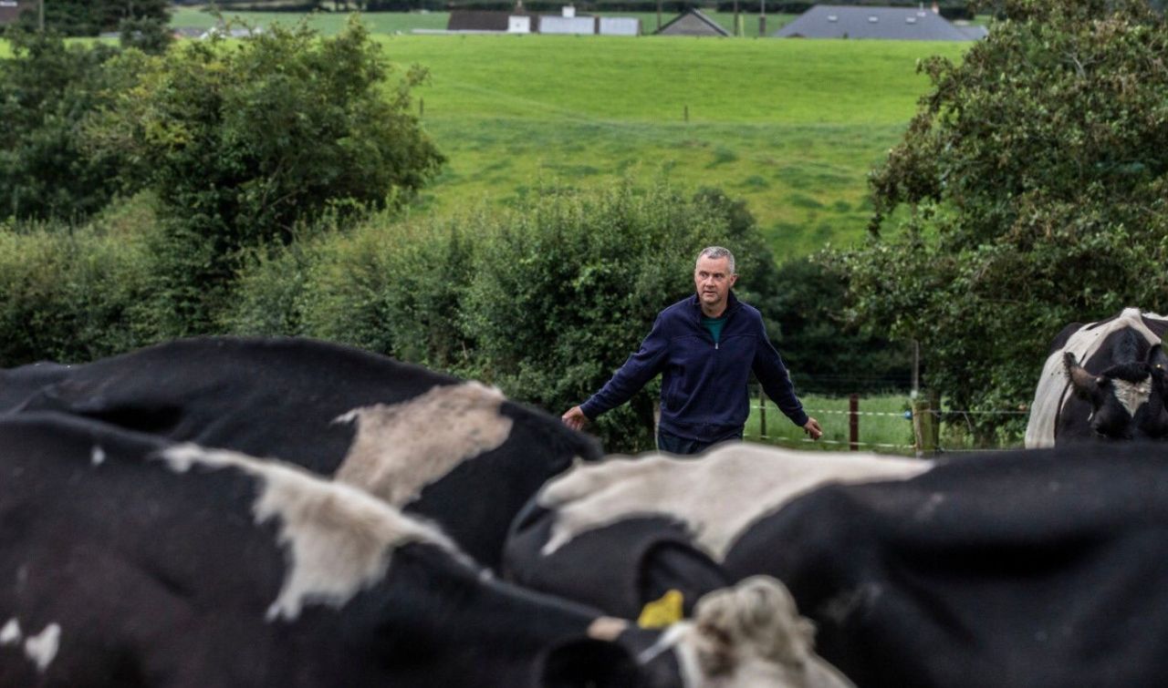 Opinion: What insurer would cover the enforced shut-down of a milk processor?