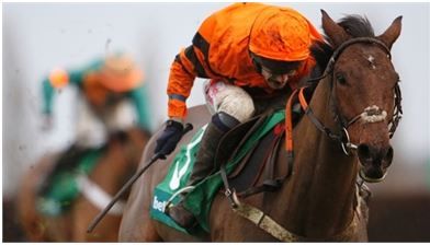 Here's five horses with farming connections to keep an eye on at Cheltenham