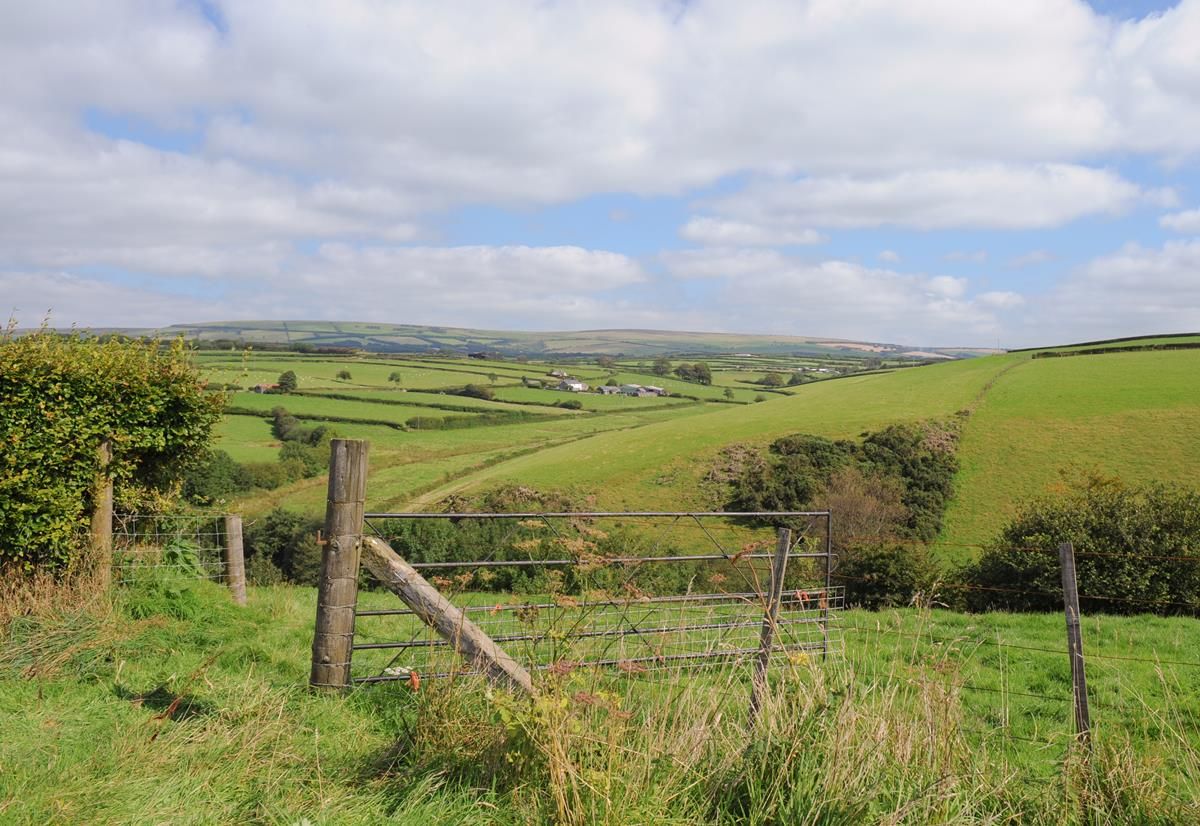 ACRES review must examine 'every facet' of scheme - ICMSA