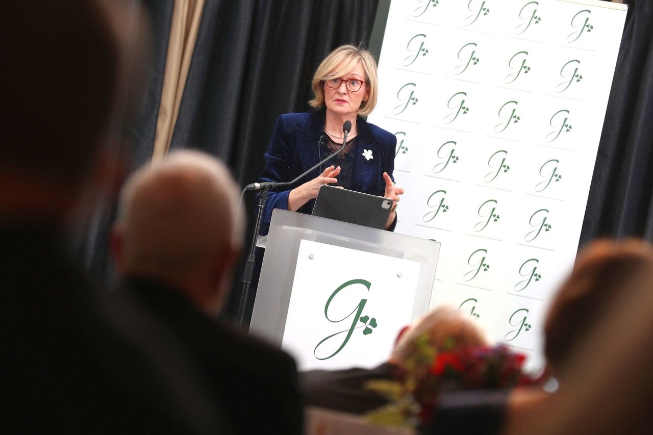 Former agri journalist Mairead McGuinness to run for presidency