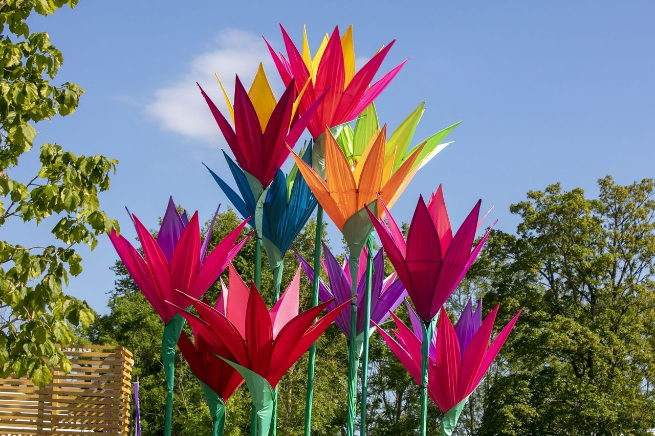 Winners of 2025 Bord Bia Bloom festival revealed